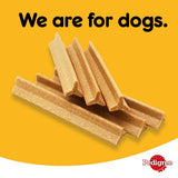 GETIT.QA- Qatar’s Best Online Shopping Website offers PEDIGREE DENTASTIX DOG TREATS SMALL BREED DOG 7 PCS MULTIPACK 110 G
 at the lowest price in Qatar. Free Shipping & COD Available!