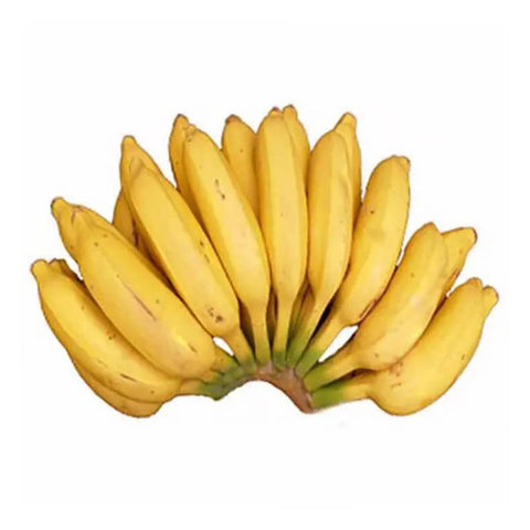 GETIT.QA- Qatar’s Best Online Shopping Website offers AMBUL BANANA SRI LANKA 500G at the lowest price in Qatar. Free Shipping & COD Available!