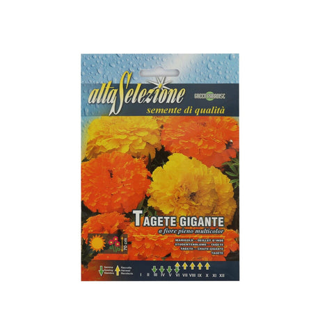 GETIT.QA- Qatar’s Best Online Shopping Website offers ALTA GIANT MARIGOLD MIXED SEED at the lowest price in Qatar. Free Shipping & COD Available!