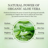 GETIT.QA- Qatar’s Best Online Shopping Website offers Aloderma Aloe Hydrating Moisturizer 100 g at the lowest price in Qatar. Free Shipping & COD Available!
