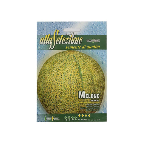 GETIT.QA- Qatar’s Best Online Shopping Website offers ALTA SEEDS MELON AVS91/15 at the lowest price in Qatar. Free Shipping & COD Available!