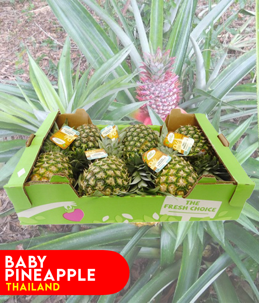 Buy Baby Pineapple-Thailand Best Price Online Doha Qatar