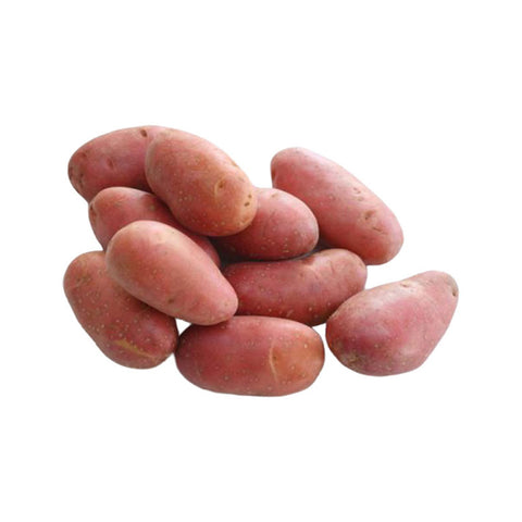 GETIT.QA- Qatar’s Best Online Shopping Website offers Fresh Potato Red, Pakistan, 500 g at lowest price in Qatar. Free Shipping & COD Available!