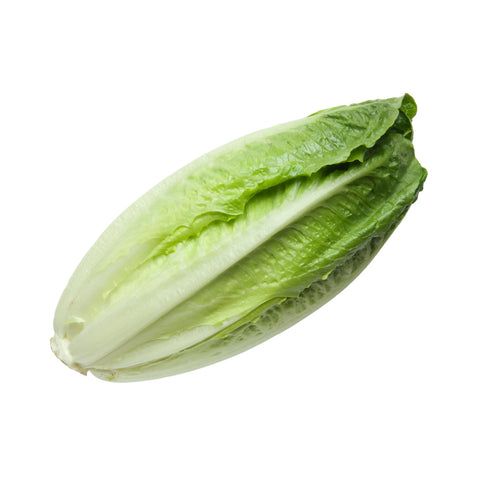 GETIT.QA- Qatar’s Best Online Shopping Website offers Fresh Lettuce Romaine, Jordan, 500 g at lowest price in Qatar. Free Shipping & COD Available!