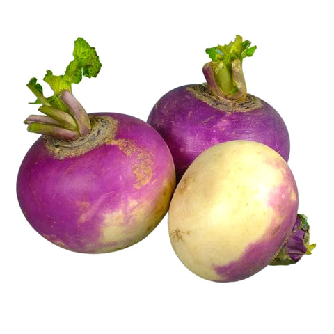 GETIT.QA- Qatar’s Best Online Shopping Website offers TURNIP QATAR 250 G at the lowest price in Qatar. Free Shipping & COD Available!