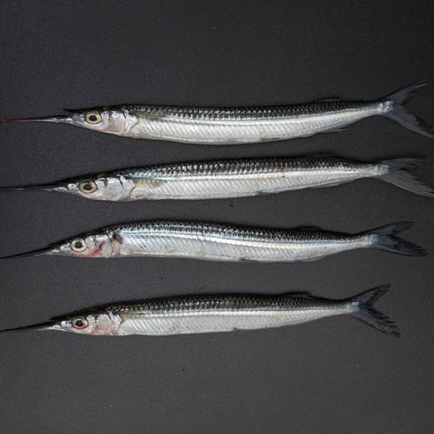 GETIT.QA- Qatar’s Best Online Shopping Website offers Fresh Needle Fish Whole Cleaned 500 g at lowest price in Qatar. Free Shipping & COD Available!