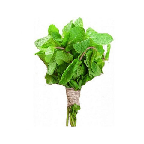 GETIT.QA- Qatar’s Best Online Shopping Website offers FRESH MINT LEAVES-- JORDAN-- 100 G at the lowest price in Qatar. Free Shipping & COD Available!