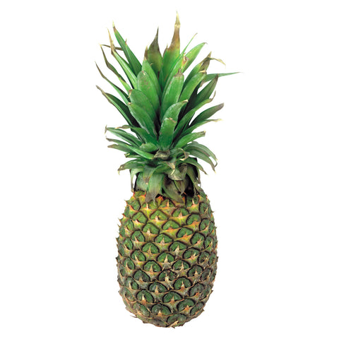 GETIT.QA- Qatar’s Best Online Shopping Website offers PINEAPPLE 1 KG at the lowest price in Qatar. Free Shipping & COD Available!