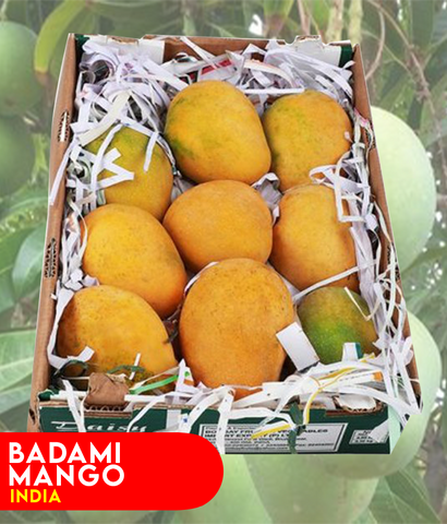 Buy Badami Mango -India Best Price Online in Doha Qatar