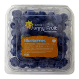 GETIT.QA- Qatar’s Best Online Shopping Website offers Blueberry Clamshell 125g at lowest price in Qatar. Free Shipping & COD Available!