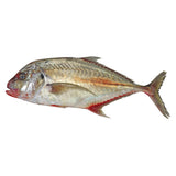 GETIT.QA- Qatar’s Best Online Shopping Website offers ZUBIDI JEST MEDIUM 2KG at the lowest price in Qatar. Free Shipping & COD Available!