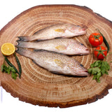 GETIT.QA- Qatar’s Best Online Shopping Website offers SUMMAN HAMOUR MEDIUM 500 G at the lowest price in Qatar. Free Shipping & COD Available!