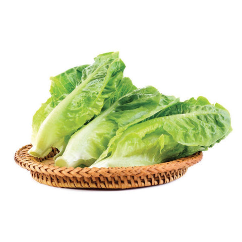 GETIT.QA- Qatar’s Best Online Shopping Website offers LETTUCE OMAN 500G at the lowest price in Qatar. Free Shipping & COD Available!
