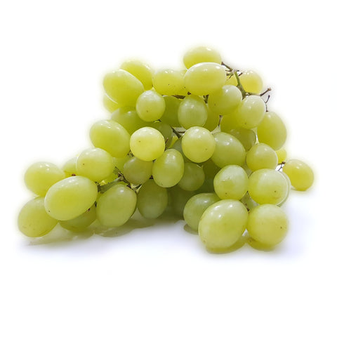 GETIT.QA- Qatar’s Best Online Shopping Website offers WHITE GRAPES SOUTH AFRICA 500G at the lowest price in Qatar. Free Shipping & COD Available!