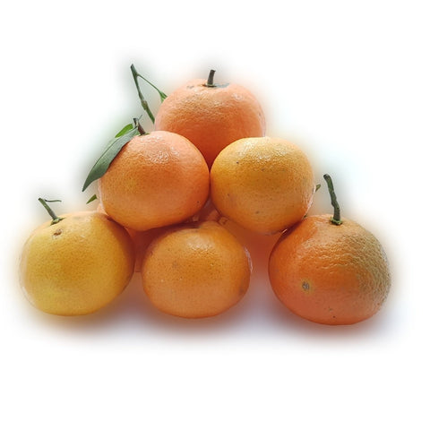 GETIT.QA- Qatar’s Best Online Shopping Website offers MANDARIN SYRIA 1KG at the lowest price in Qatar. Free Shipping & COD Available!