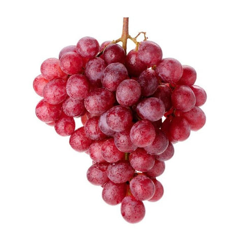 GETIT.QA- Qatar’s Best Online Shopping Website offers GRAPE RED GLOBE ITALY 500G at the lowest price in Qatar. Free Shipping & COD Available!