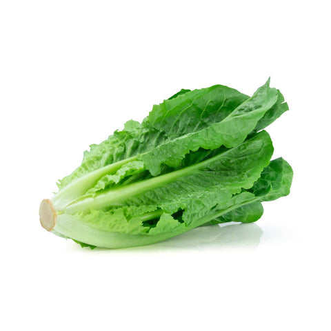GETIT.QA- Qatar’s Best Online Shopping Website offers LETTUCE ROMAINE IRAN 500G at the lowest price in Qatar. Free Shipping & COD Available!