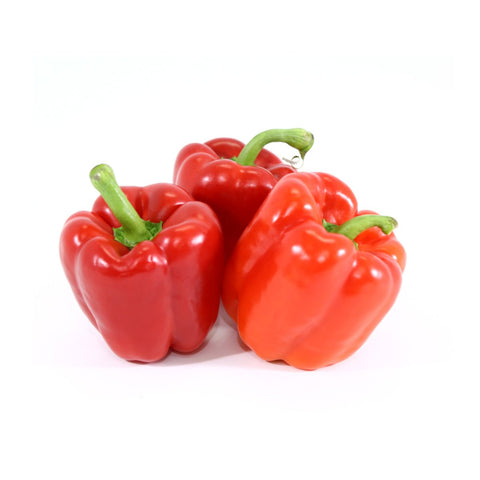 GETIT.QA- Qatar’s Best Online Shopping Website offers CAPSICUM RED IMPORT HOLLAND 500G at the lowest price in Qatar. Free Shipping & COD Available!