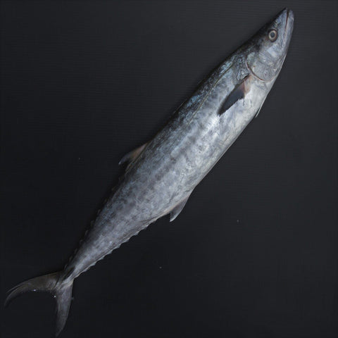 GETIT.QA- Qatar’s Best Online Shopping Website offers KING FISH SMALL 2KG at the lowest price in Qatar. Free Shipping & COD Available!