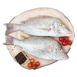 Sheri Fish Big 1 kg - GETIT.QA