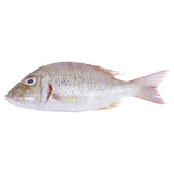 Sheri Fish Big 1 kg - GETIT.QA
