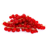 GETIT.QA- Qatar’s Best Online Shopping Website offers RED CURRANT HOLLAND 1PKT at the lowest price in Qatar. Free Shipping & COD Available!