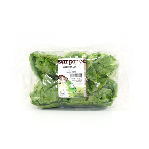 GETIT.QA- Qatar’s Best Online Shopping Website offers HOLLAND MINI GEM LETTUCE 1PKT at the lowest price in Qatar. Free Shipping & COD Available!