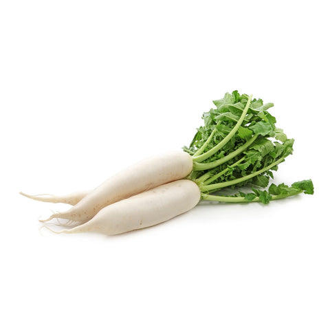 GETIT.QA- Qatar’s Best Online Shopping Website offers Farm Fresh White Radish 500g at lowest price in Qatar. Free Shipping & COD Available!