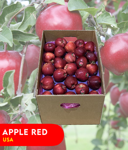 Buy Apple Red -USA Best Price Online in Doha Qatar