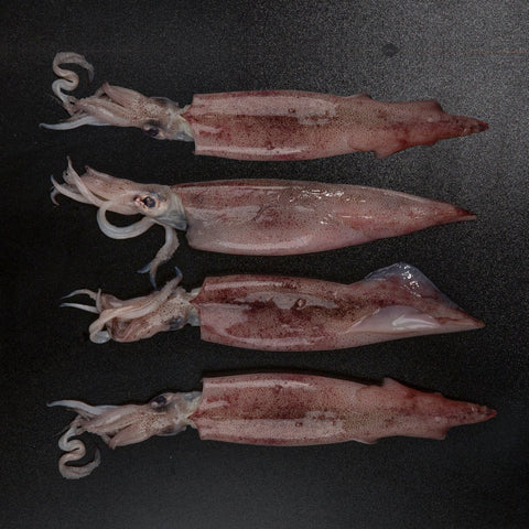 GETIT.QA- Qatar’s Best Online Shopping Website offers Fresh Squid Whole 10/20 500 g at lowest price in Qatar. Free Shipping & COD Available!