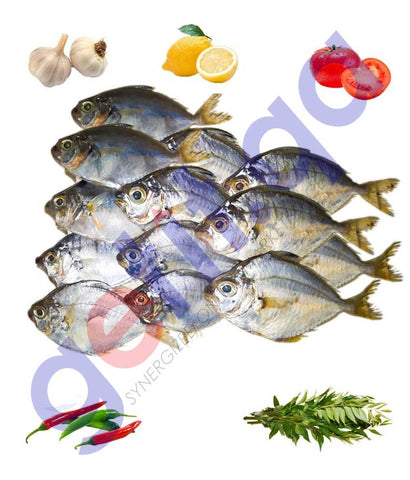 Buy Fresh Mullan Fish at Lowest Price Online in Doha Qatar