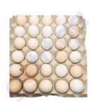 BUY DUCK EGGIN QATAR | HOME DELIVERY WITH COD ON ALL ORDERS ALL OVER QATAR FROM GETIT.QA