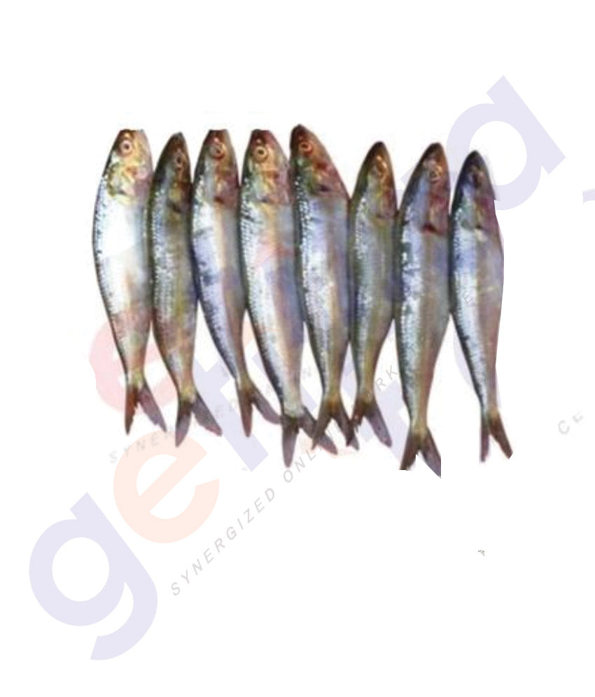 BUY FROZEN SARDINE BIG (MATHI) OMAN IN QATAR | HOME DELIVERY WITH COD ON ALL ORDERS ALL OVER QATAR FROM GETIT.QA