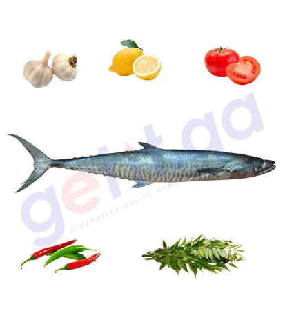 Fresh Fish - A. KING FISH(BIG )- كنعد -  CHANAD(12kg Above)