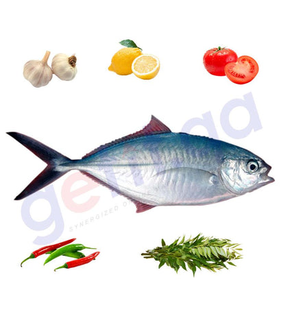 Fresh Fish - BASSAR - بسار - RAINBOW RUNNER  (WHOLE FISH )