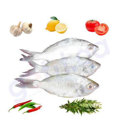 BUY BEDHA - بدح - LONGTAIL SILVER BIDDY 1KG IN QATAR | HOME DELIVERY WITH COD ON ALL ORDERS ALL OVER QATAR FROM GETIT.QA