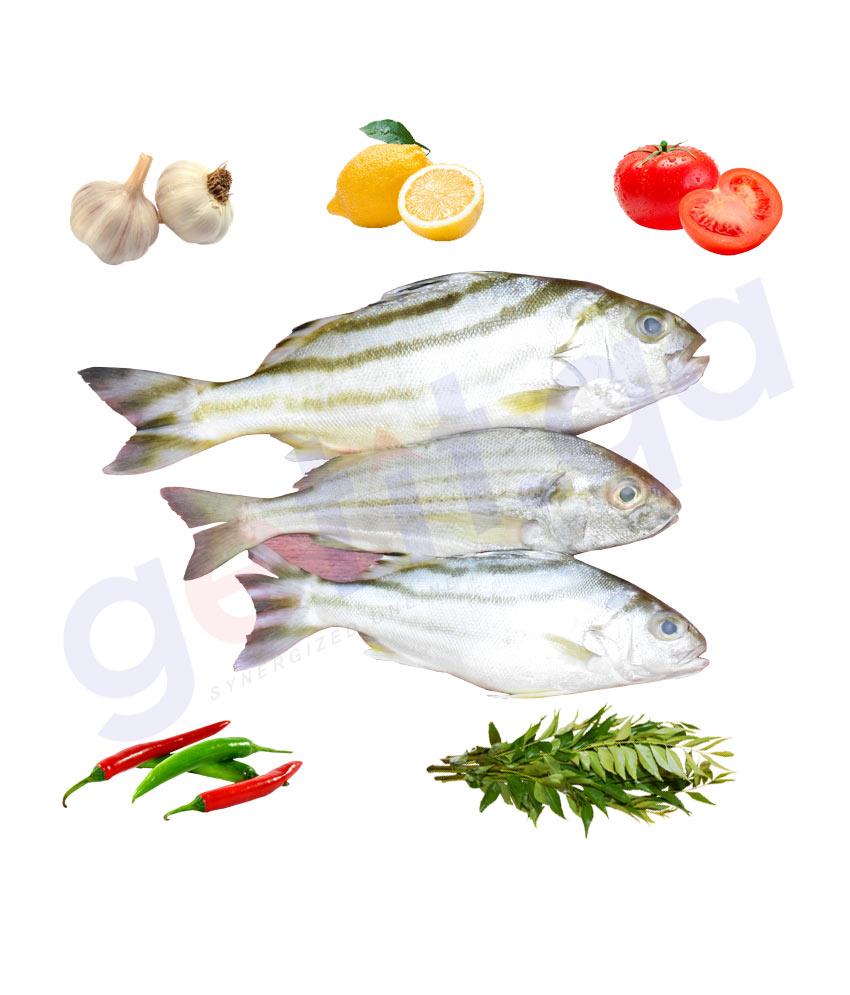 BUY DHEEB - ذيب - JARBUA TERAPON 1KG IN QATAR | HOME DELIVERY WITH COD ON ALL ORDERS ALL OVER QATAR FROM GETIT.QA