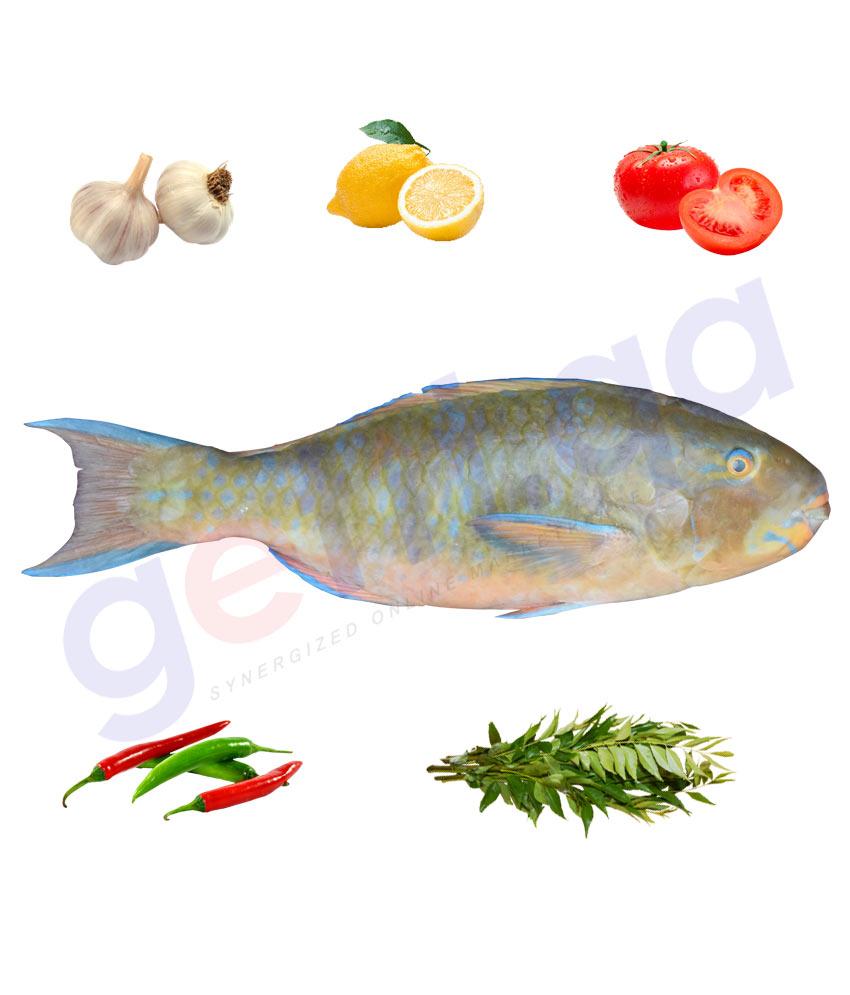 Fresh Fish - GAIN - قين - FLAME PARROTFISH