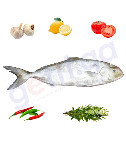 Fresh Fish - HAMAM - حمام - BLUGE -WHITE 1KG