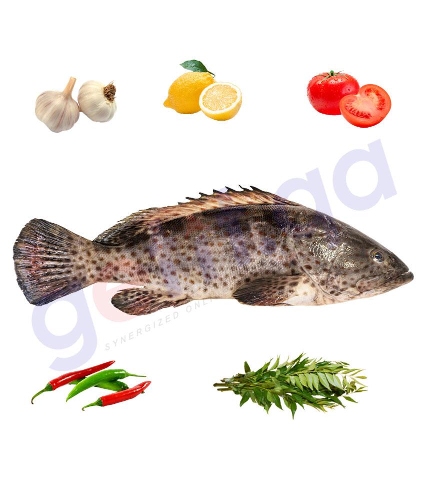 Fresh Fish - HAMOOR - هامور - ORANGE SPOTTED GROUPER (SMALL) 1KG