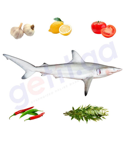 Fresh Fish - JARJOR - جرجور - WHITECHEEK SHARK 1KG