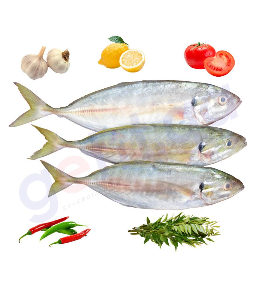 Fresh Fish - KARARI - كرارى - CREVALLE 1KG