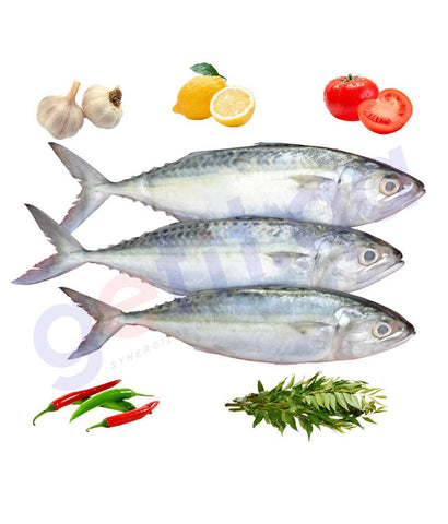 BUY MACKEREL AYALA BIG IN QATAR | HOME DELIVERY WITH COD ON ALL ORDERS ALL OVER QATAR FROM GETIT.QA