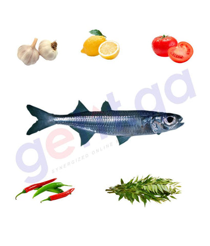 Fresh Fish - Manshus - منشوس - Hardyhead Silverside