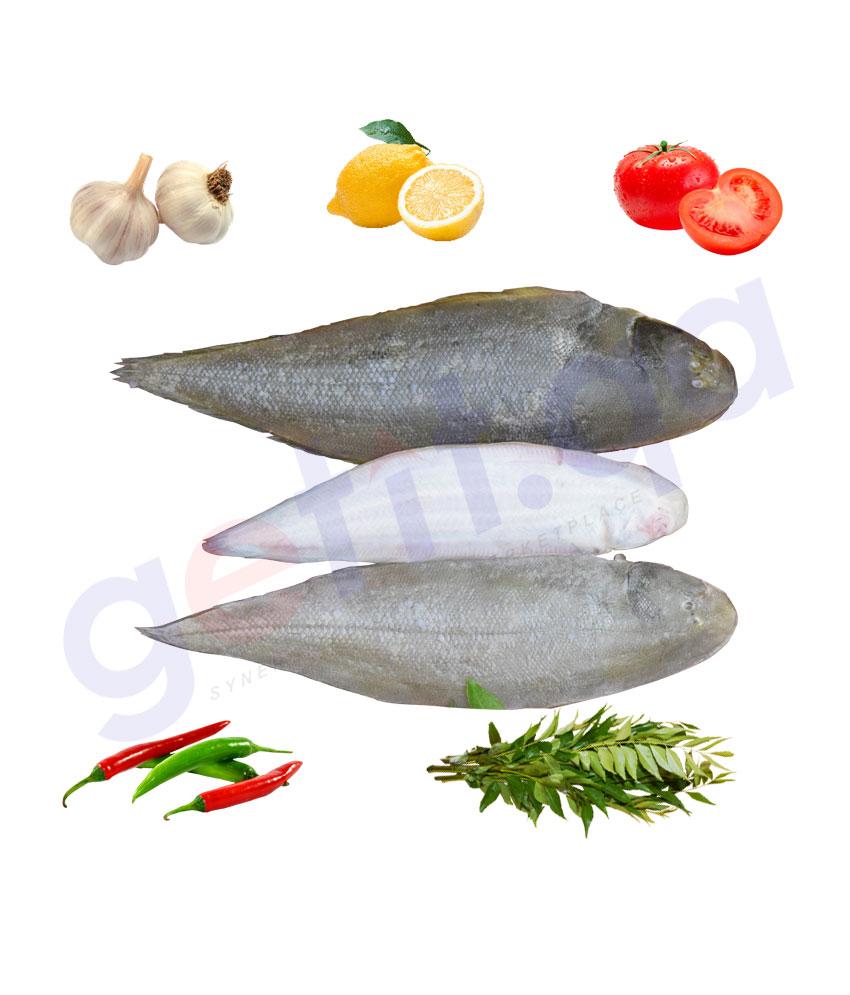 Fresh Fish - Manthal -Spiny Turbot