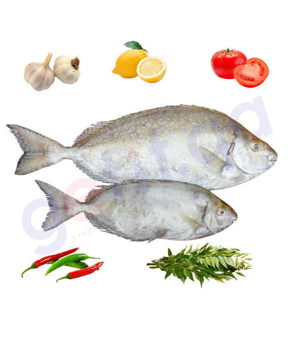 Fresh Fish - SAFI - صافى -(SHAMAL)  WHITE-SPOTTED SPINE FOOT 1KG