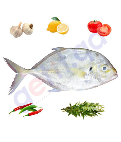 Fresh Fish - SAL - صاله - LONG NOSE TRAVALLY 1KG