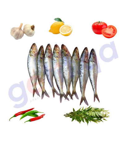 Fresh Fish - Sardine -Fresh  Indian Mathi