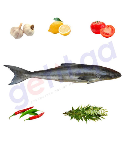 Fresh Fish - SIKEN (MODHA)- سكن - COBIA -  Big ( Whole Fish/kg )