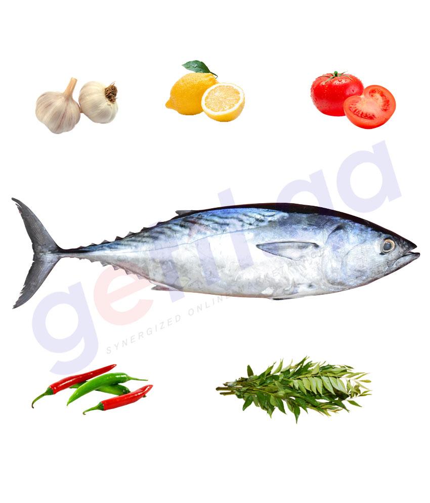 Fresh Fish - TABBAN - تبان - TUNA - BIG(5kg Above)